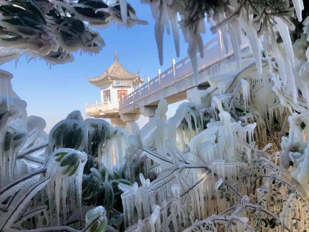天龙八部手游